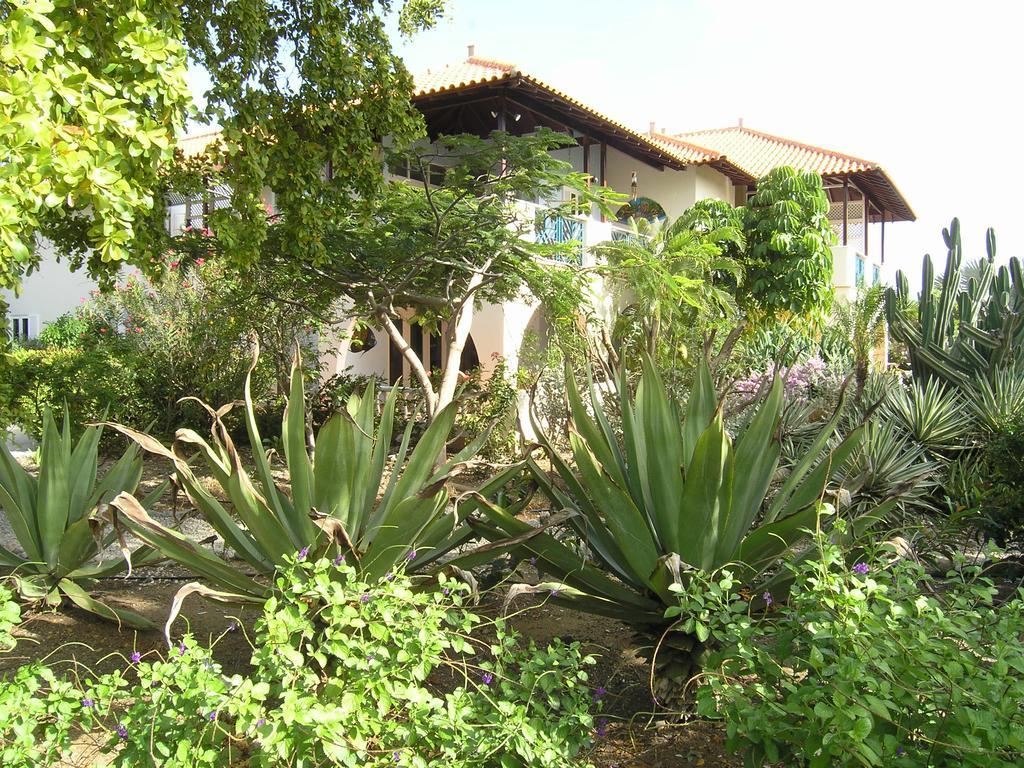 Apartment 1 And 5 In Windsock Beach Resort Bonaire Exterior foto