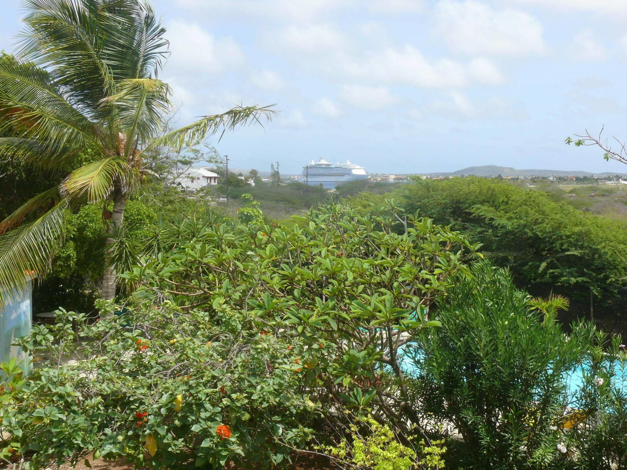 Apartment 1 And 5 In Windsock Beach Resort Bonaire Exterior foto